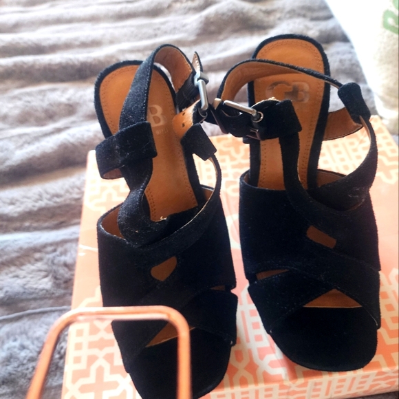 Giant Bini - Picture 1 of 6